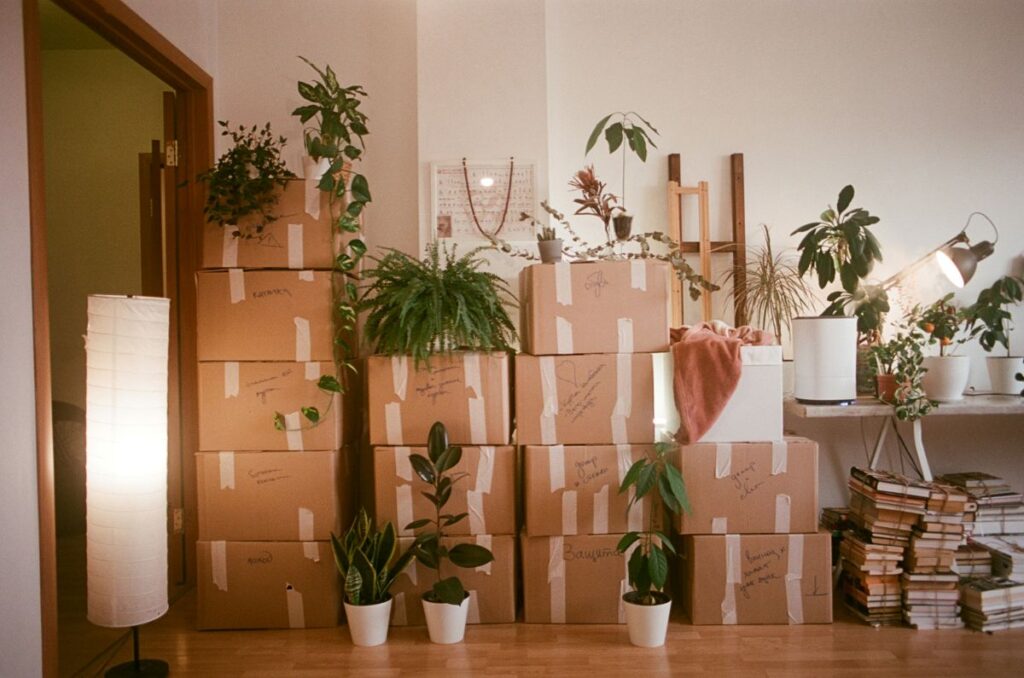 Boîtes en carton empilées dans un salon, entourées de plantes et d’un lecteur de lumière, prêt pour déménagement.